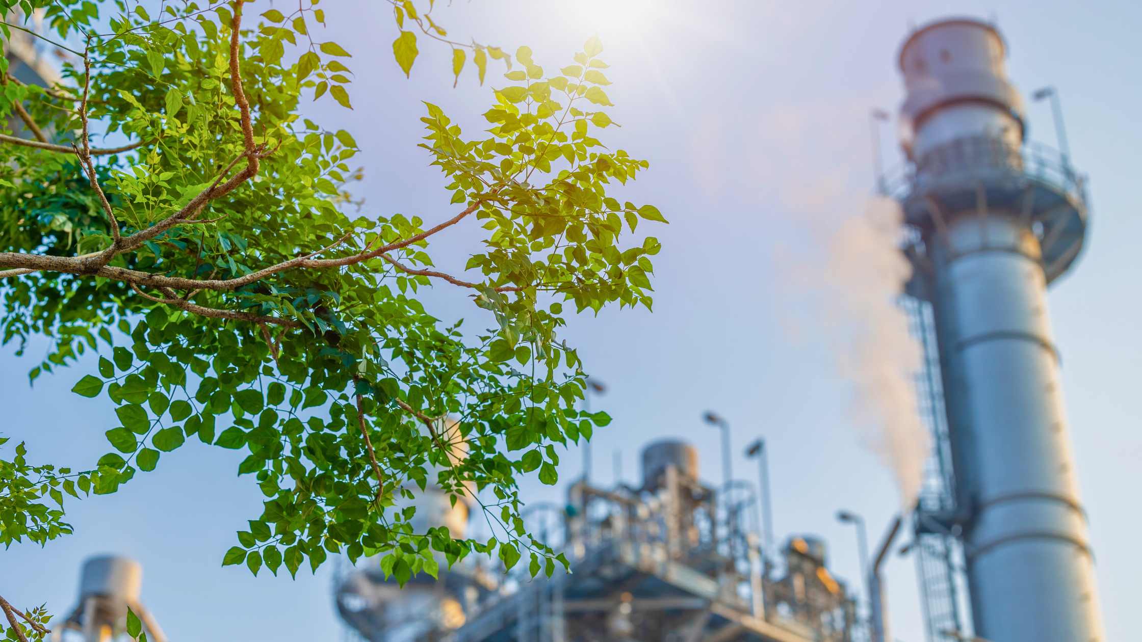 Navigating Environmental Considerations in Industrial Plants | Considerations for both the inside (facility) environment, plus protecting the environment outside